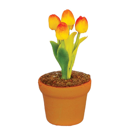 Orange Tulip In Pot